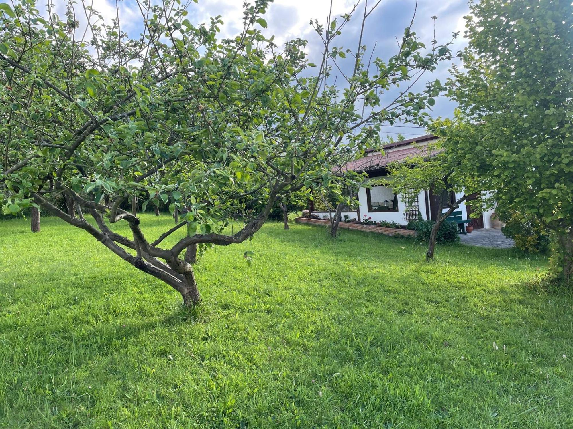 Вілла Casa Benjamin Ов'єдо Екстер'єр фото